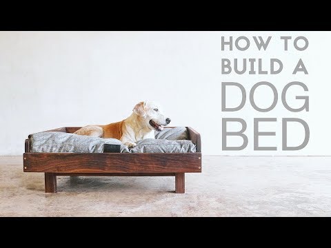 How To Build a Mid Century Modern Dog Bed | Modern Builds | EP. 72 | DIY