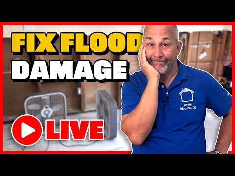 How to Navigate Flood Restoration and Insurance | LIVE Q&A