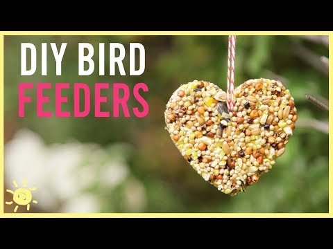 DIY | How to Make a Bird Feeder (Easy Kids Craft!)