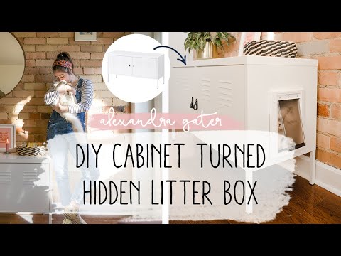 DIY Cabinet To Hide Cat Litter Box In A Small Space | Pet Tips