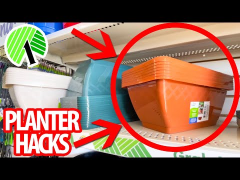 GRAB $1 PLANTERS from the Dollar Store for these CRAZY GOOD HACKS! (everyone will be copying these!)