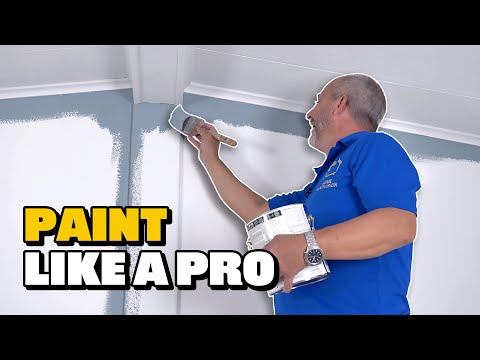 How To Paint a  Wall (The Right Way)