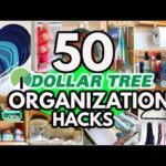 50 Dollar Tree Organization HACKS to get your home Organized FAST (ideas from a pro!)