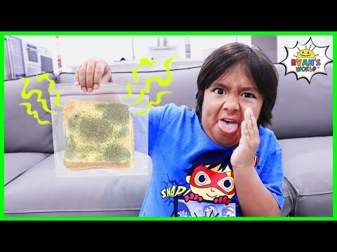 How to keep bread from molding science experiment DIY!!!