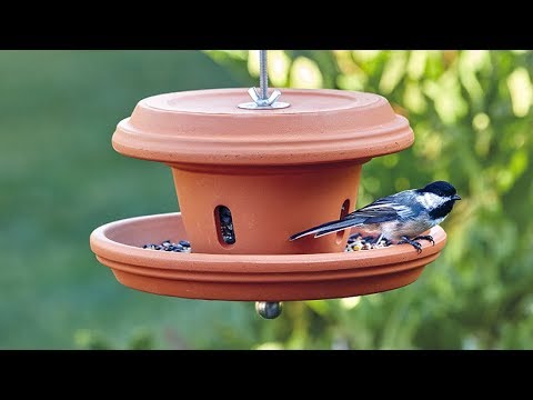 DIY terra-cotta bird feeder