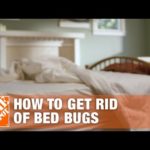 How to Get Rid of Bed Bugs | DIY Pest Control | The Home Depot