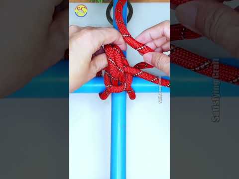 How to tie Knots rope diy idea for you #diy #viral #shorts ep464