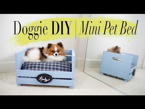DIY Super Easy Mini Dog & Cat Bed | ANN LE