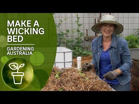 How to Make a Wicking Bed | DIY Garden Projects | Gardening Australia