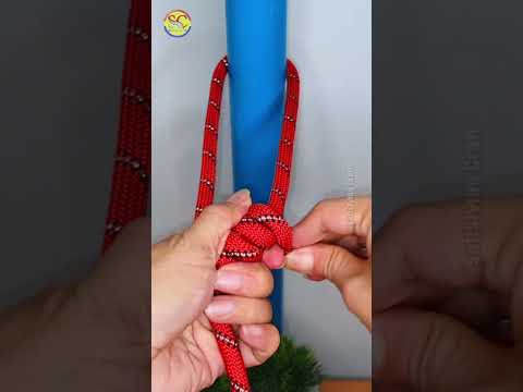 How to tie Knots rope diy idea for you #diy #viral #shorts ep472