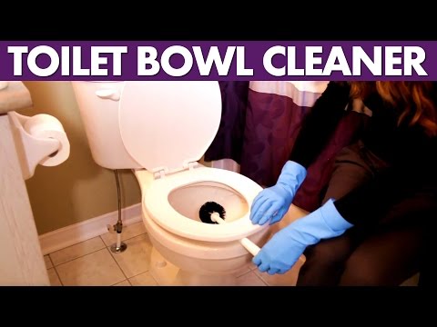 Toilet Bowl Cleaner – Day 17 – 31 Days of DIY Cleaners (Clean My Space)