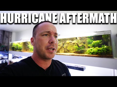 Aquarium gallery HIT BY HURRICANE – The king of diy