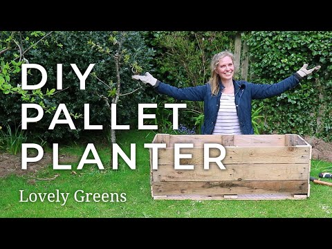 How to make a DIY Pallet Planter