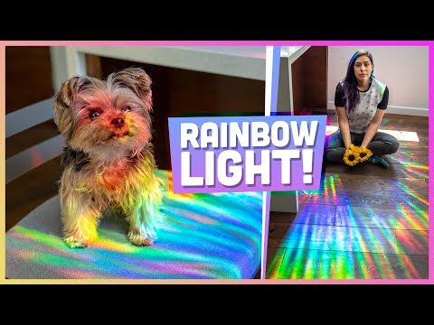 How to Make a Rainbow Room – DIY