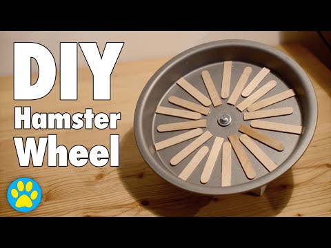 DIY Flying Saucer Wheel | Hamsters, Mice & Gerbils