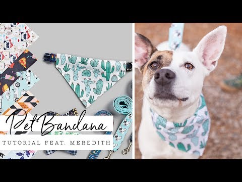 Easy Pet Bandana | Spoonflower
