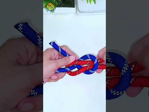 How to tie Knots rope diy idea for you #diy #viral #shorts ep485