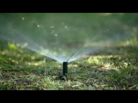 How to Install Garden Irrigation | Mitre 10 Easy As DIY