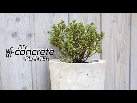 Concrete Planter | easy DIY