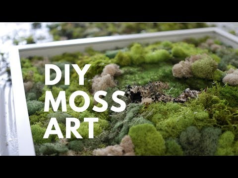 DIY MOSS ART | DONE SIMPLY