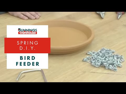 How To Make A Bird Feeder – DIY At Bunnings