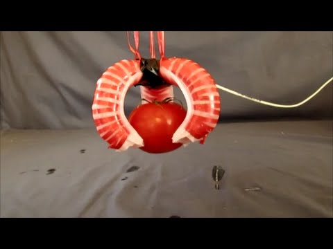 DIY Soft Robotic Gripper