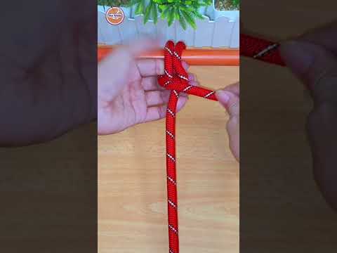 How to tie knots rope diy at home #diy #viral #shorts ep444