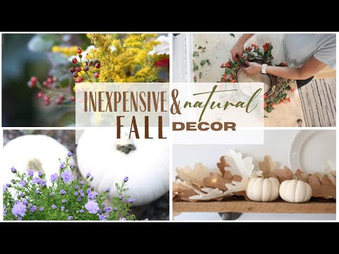 Natural Fall decor ~ DIY Fall Decorations ~ Inexpensive Fall Decor ~ Decorate for Fall ~ Fall Decor