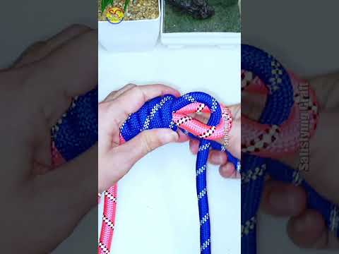 How to tie Knots rope diy idea for you #diy #viral #shorts ep506