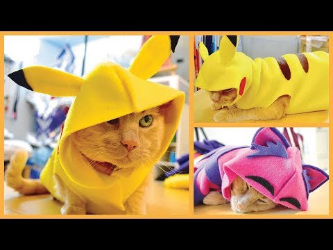 DIY Cat & Dog Clothes – Pikachu, Hoodies & More!