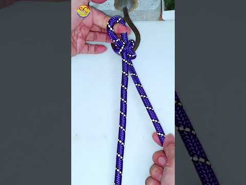 How to tie Knots rope diy idea for you #diy #viral #shorts ep503