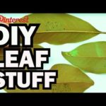 DIY Leaf Stuff – Corinne Vs Pin #33