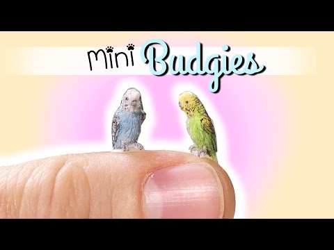 How To Miniature Budgie Tutorial // DIY Doll Pet Bird