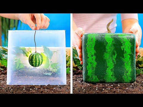 21 AMAZING PLANTS IDEAS || DIY Gardening Tricks You Should Know