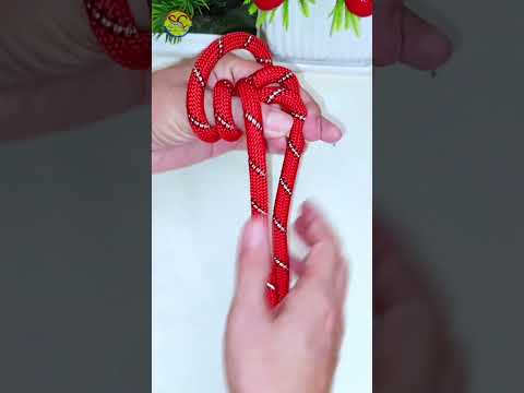 How to tie Knots rope diy idea for you #diy #viral #shorts ep514