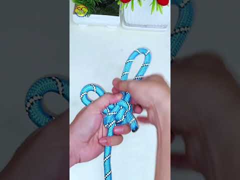 How to tie Knots rope diy idea for you #diy #viral #shorts ep519