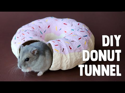 DIY Donut Tunnel For Hamsters & Mice