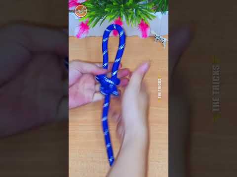 How to tie knots rope diy at home #diy #viral #shorts ep485