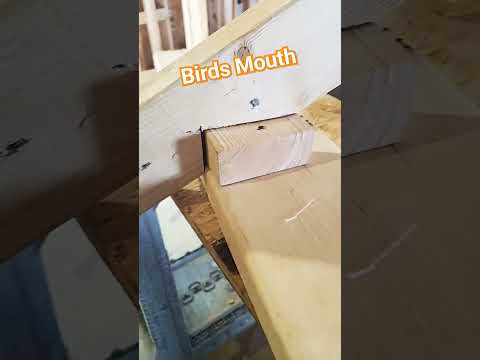 What is a Birdsmouth for Rafters? #diy #construction #homeimprovement