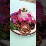#diy#barf se shivling kaise banaye#om nmo nma sankra Bhajan#trending#shorts#viral shorts youtube#