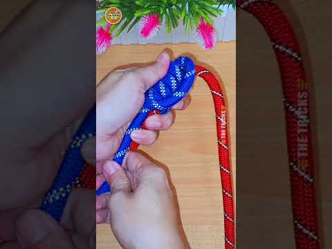 How to tie knots rope diy at home #diy #viral #shorts ep484