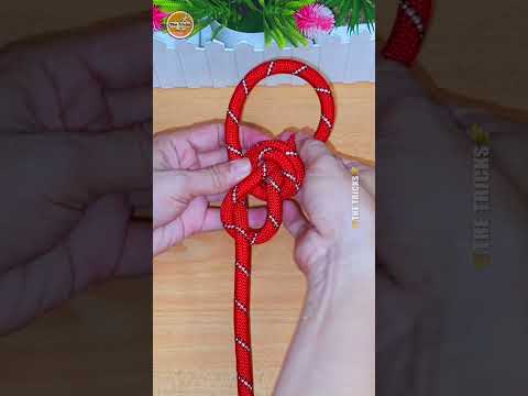 How to tie knots rope diy at home #diy #viral #shorts 504