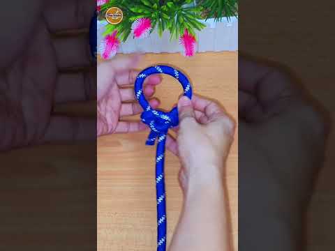 How to tie knots rope diy at home #diy #viral #shorts ep506