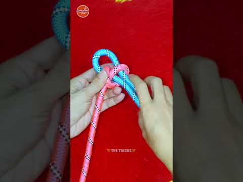 How to tie knots rope diy at home #diy #viral #shorts ep497