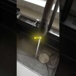 The COOLEST Sink Ever Made