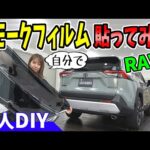 【RAV4アドベンチャー】カーフィルム施工｜素人DIY