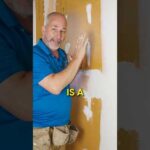 Why Your Wall Gets Moldy Outside the Shower (And How to Stop It)