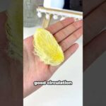 Creative DIY Mango Seed Craft