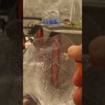 This DIY humidity dome works great! #germination #humidity #seedlings #seeds #plants #thegrobro