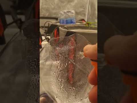 This DIY humidity dome works great! #germination #humidity #seedlings #seeds #plants #thegrobro